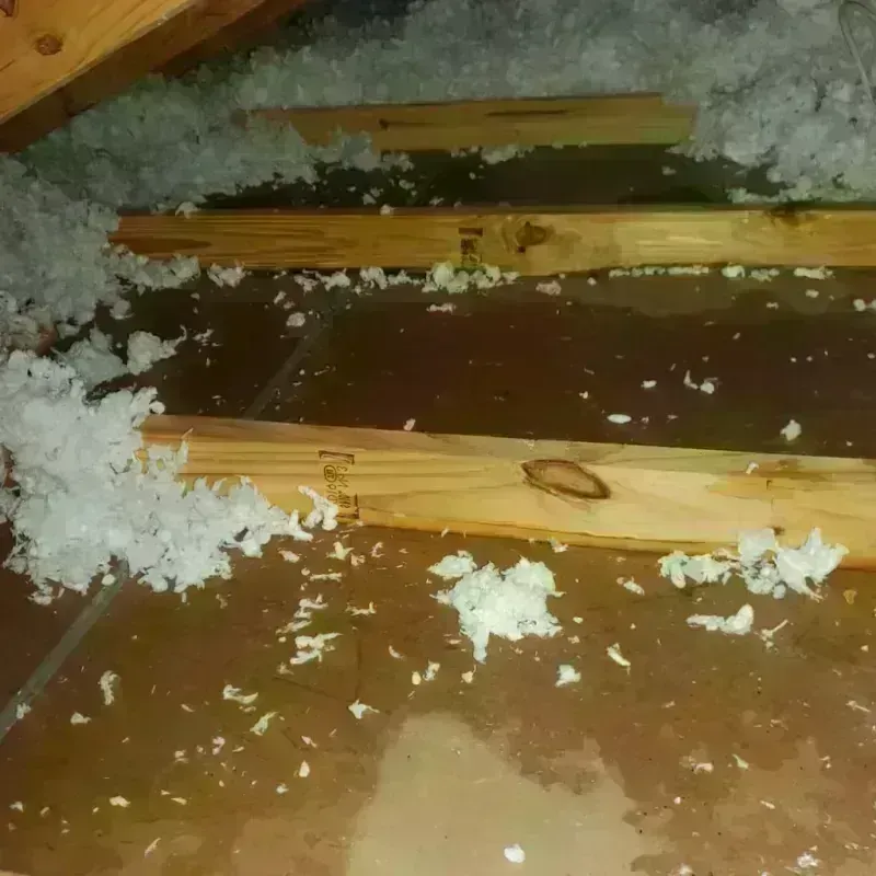 Attic Water Damage in Moosic, PA